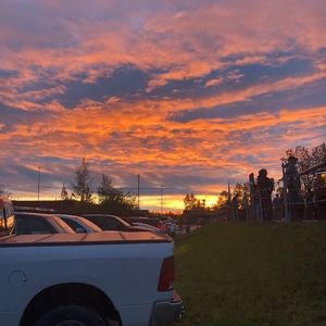 Meet your Posher, Olive